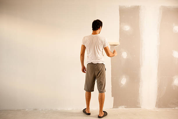 Best Wall Texturing and Painting  in Louisburg, NC