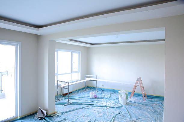 Best Ceiling Drywall Installation  in Louisburg, NC