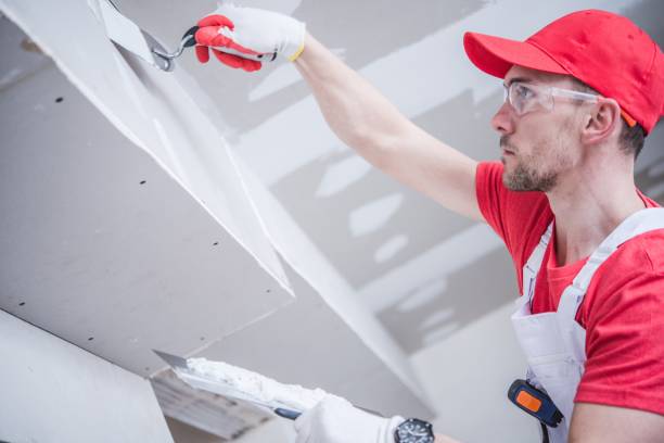 Best Drywall Sanding and Smoothing  in Louisburg, NC